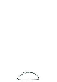 Trees <p> Planted </p>