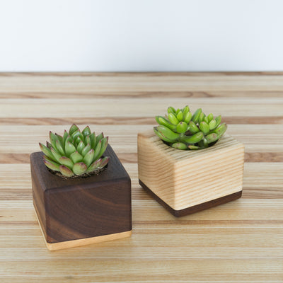wood succulent pot The Fillmore Succulent Planters