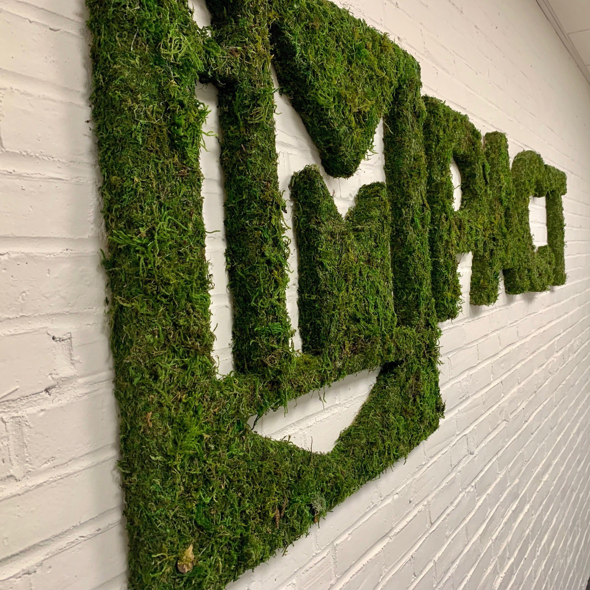 Moss Wrapped Logo